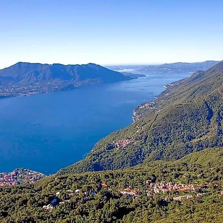 Usignolo